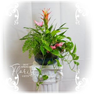 An ornamental potted plant arrangement featuring a variety of green foliage and vibrant flowers, displayed on a white pedestal with a striped backdrop.