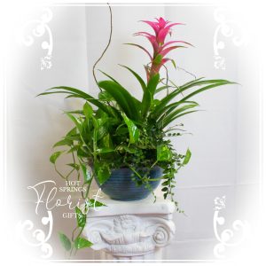 A colorful bromeliad plant centerpiece displayed in a blue pot on a white decorative pedestal.