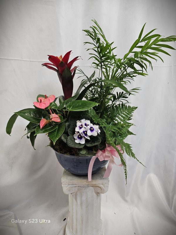 A potted plant arrangement featuring a mix of different plants, including a palm, ferns, and flowering plants with pink, red, and white blossoms. It sits on a white pedestal with a pink ribbon, perfect as funeral flowers to offer comfort and condolences.