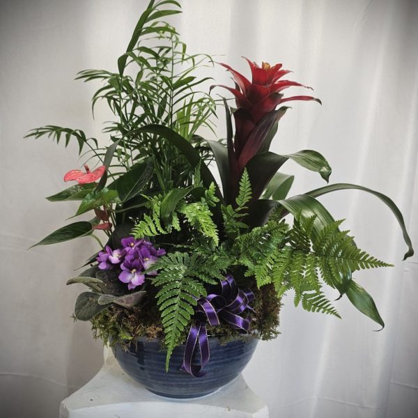 A decorative arrangement of various plants in a blue ceramic pot, featuring a red bromeliad, purple flowers, ferns, and ribbon accents.