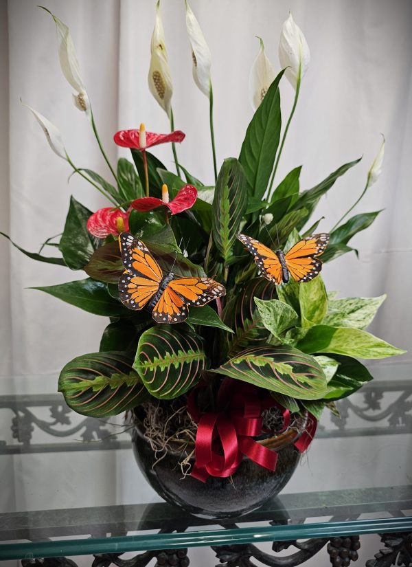 A black pot on a glass table holding an arrangement of various green plants, red flowers, white flowers, and two orange butterflies.