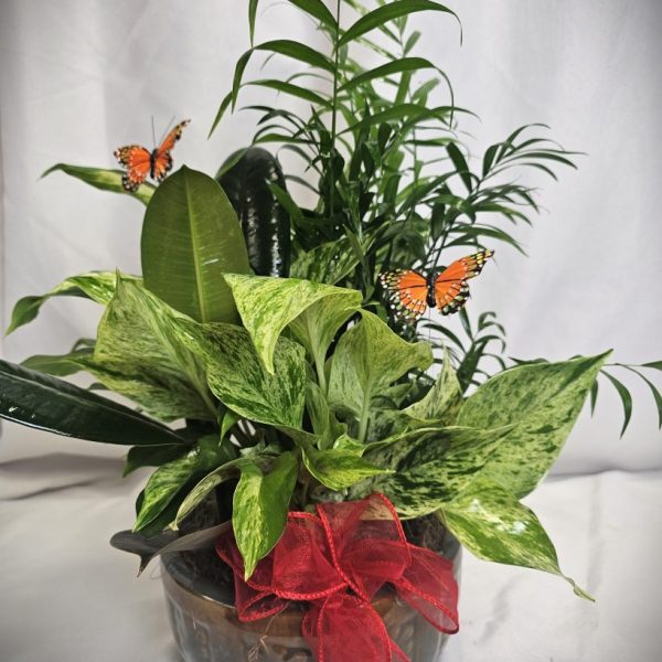 Blue and Brown Ceramic Dish Garden