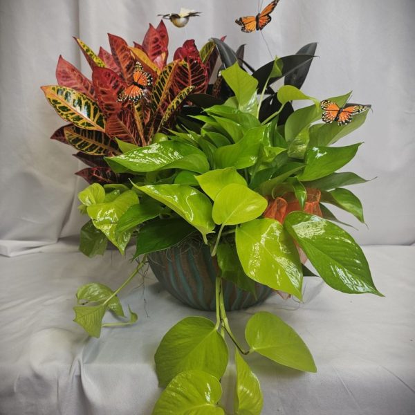 Bronze and Teal Dish Garden