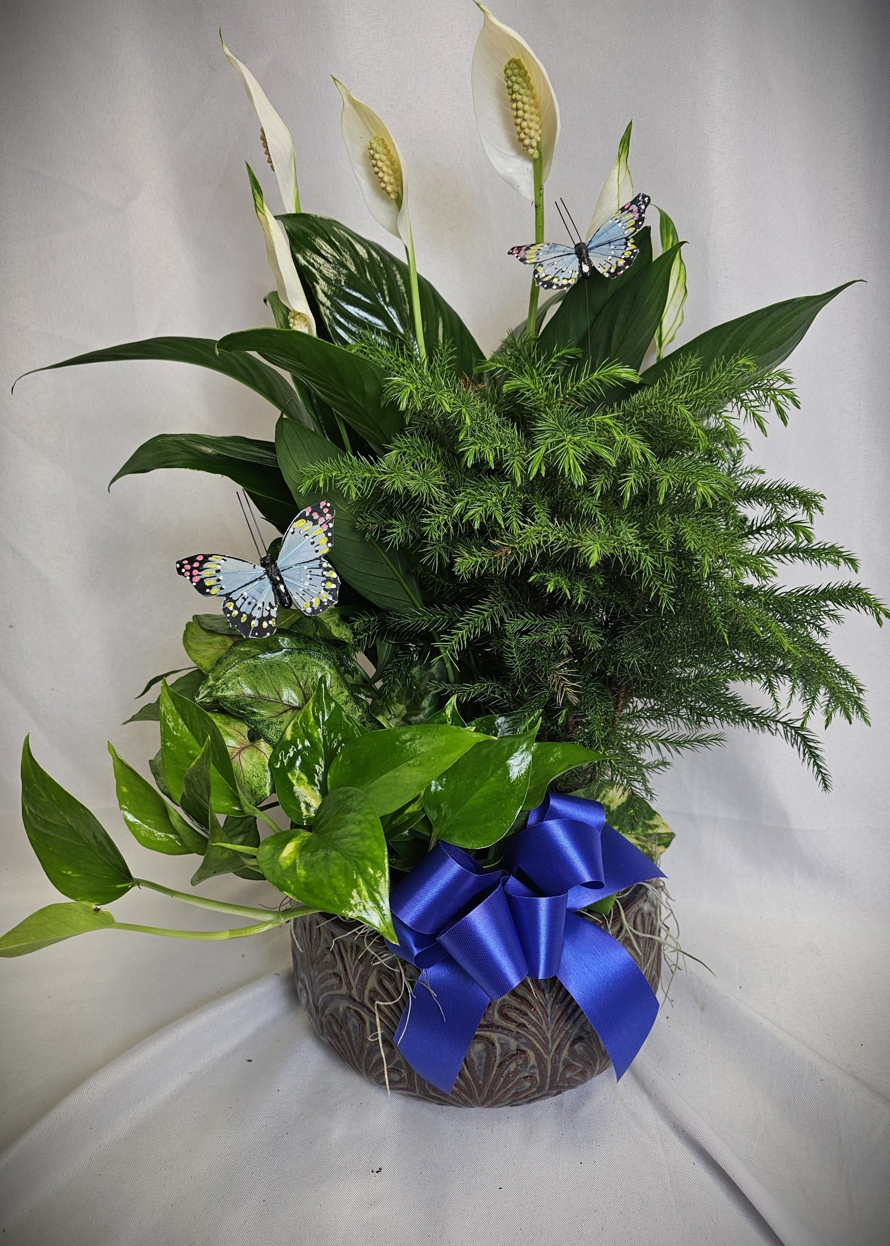 Dish Garden - Small Brown Bowl