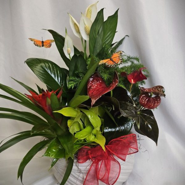 Dish Garden - Medium Cream Bowl