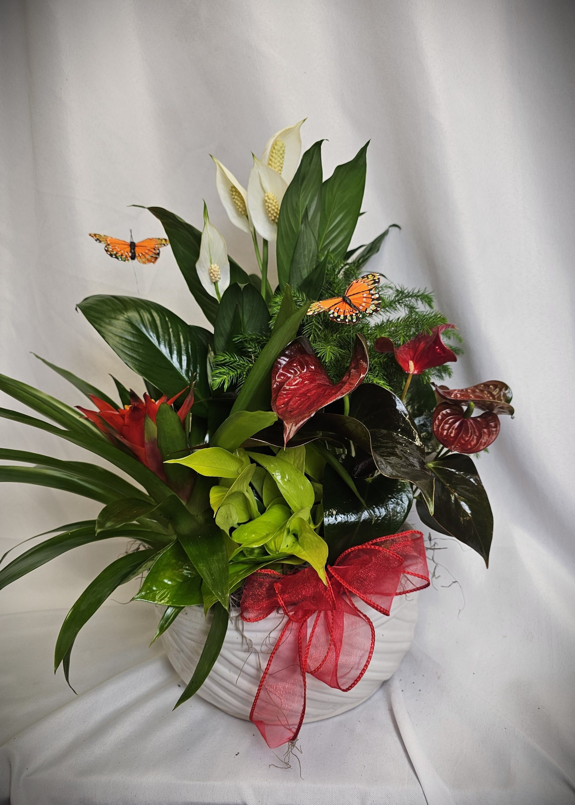 Dish Garden - Medium Cream Bowl