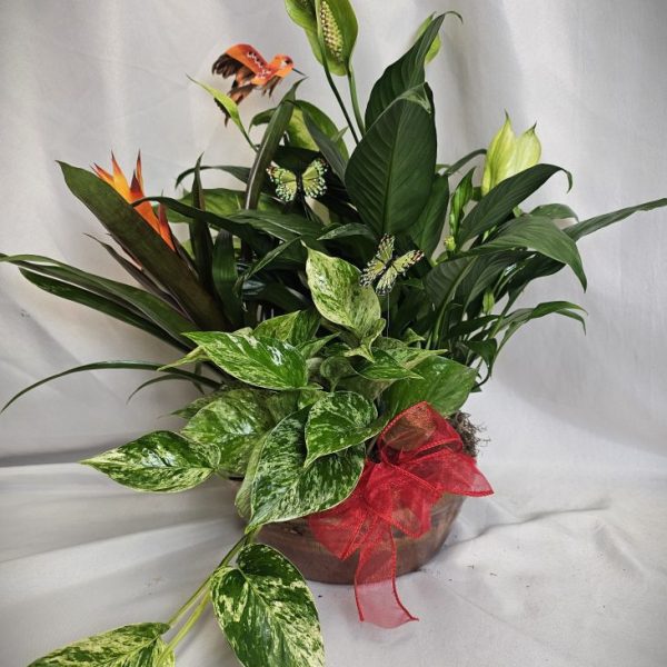 Dish Garden - Medium Bronze Bowl