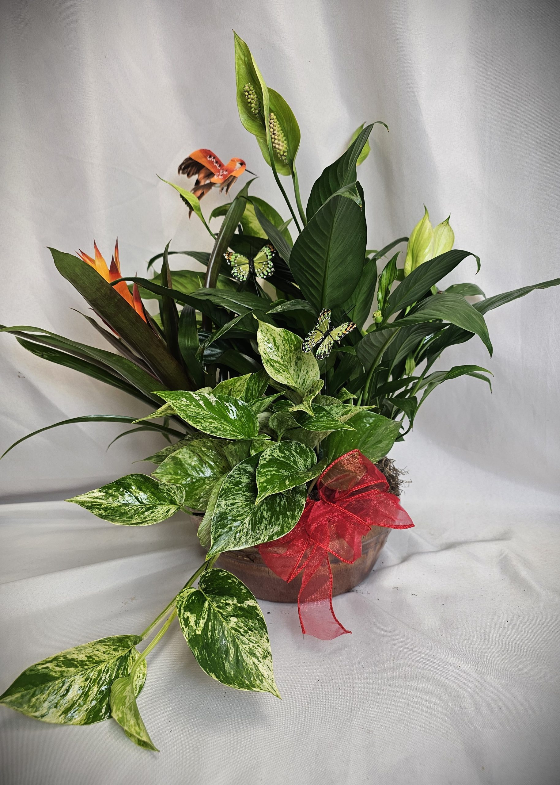 Dish Garden - Medium Bronze Bowl