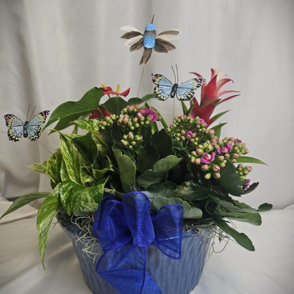 Medium Ceramic Blue Dish Garden